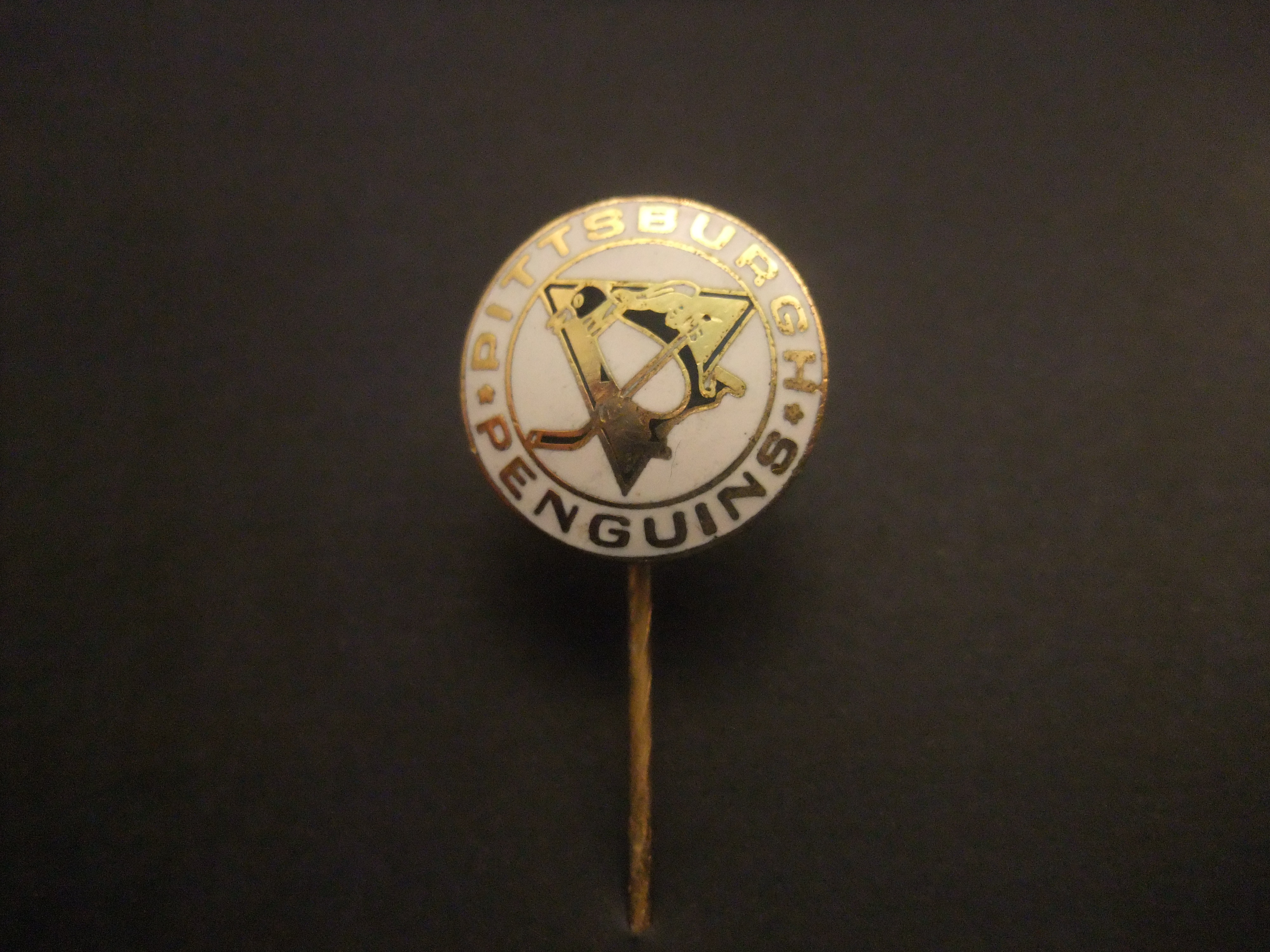 Pittsburgh Penguins, ijshockeyteam Pittsburgh, Pennsylvania